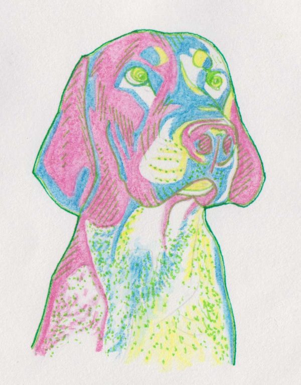 Colorful Dog, painting by Alessandro Bruno.